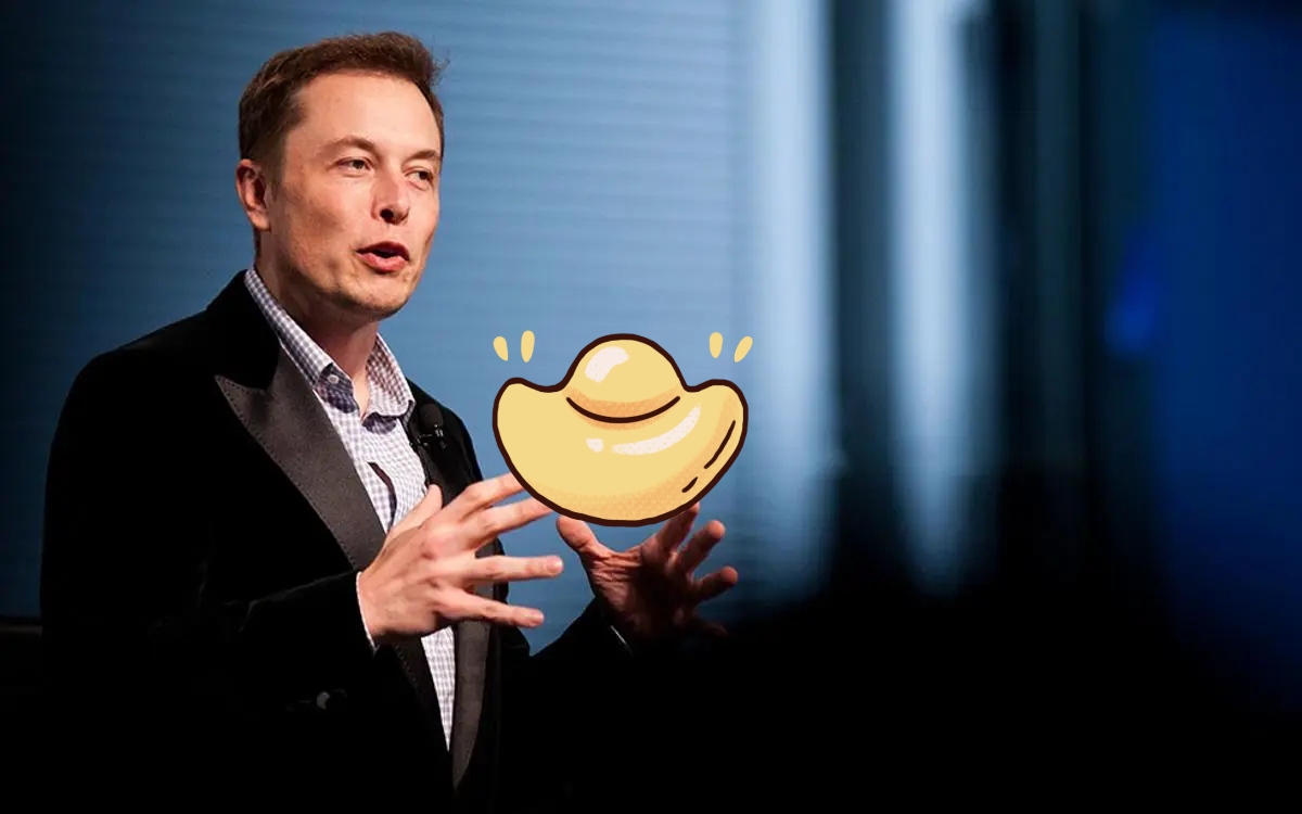 亚冠关键时刻走向成谜，本菲卡防线松动，话题不断，医务组通报恢复的简单介绍